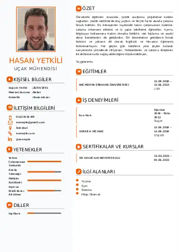 Havacılık Ve Uzay Uçak Mühendisi Cv Örnekleri cv indir